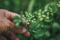 株式会社エポラ