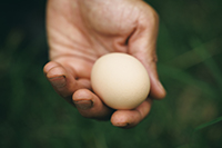 株式会社エポラ